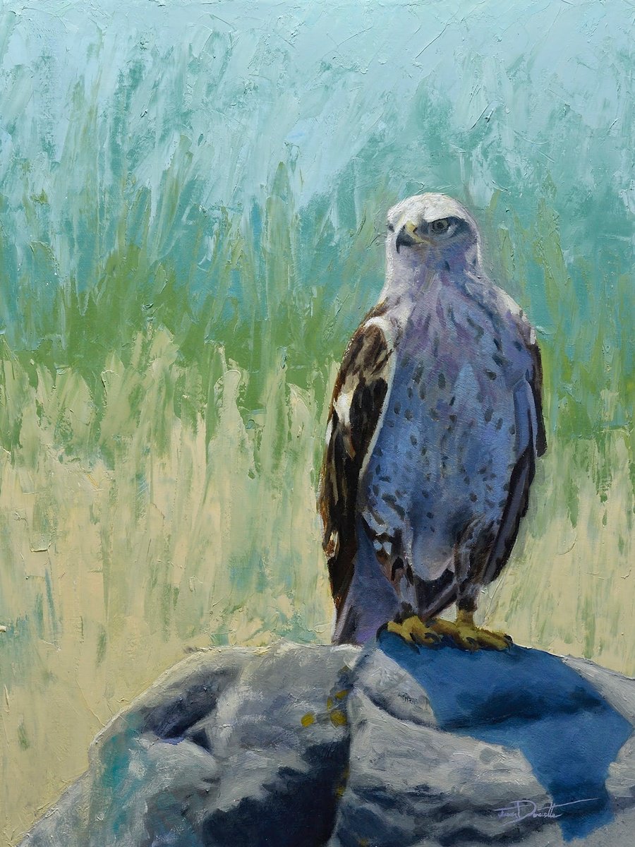 Photorealistic Animal Oil Painting By Jason Edward Doucette, 18 X 24, Ferruginous Hawk, Original Artwork