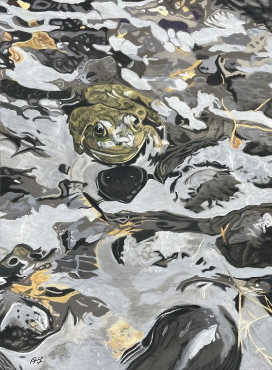 Watcher in the Water