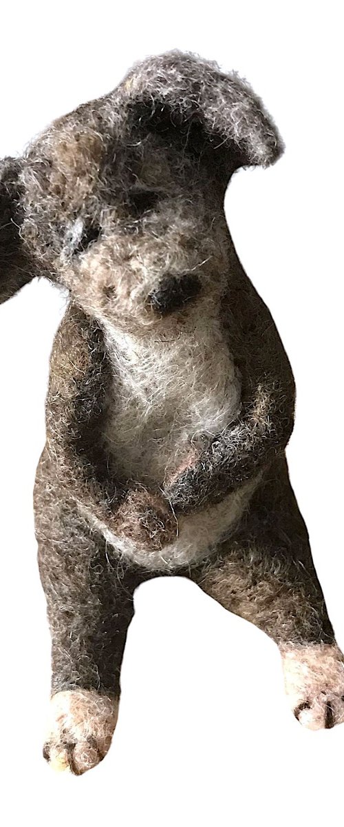 Wilmur, felted wool dog by Eleanor Gabriel