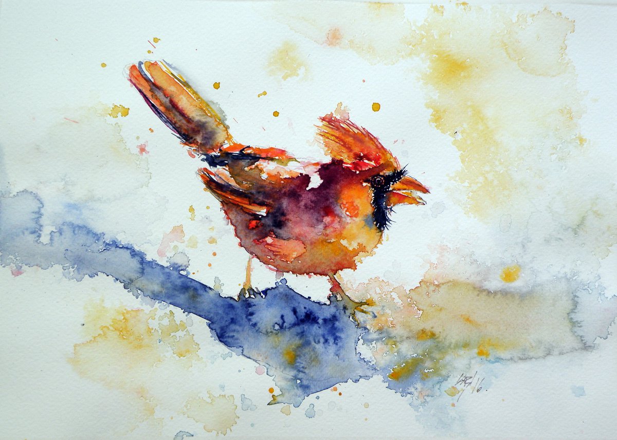 Cardinal bird by Kovcs Anna Brigitta