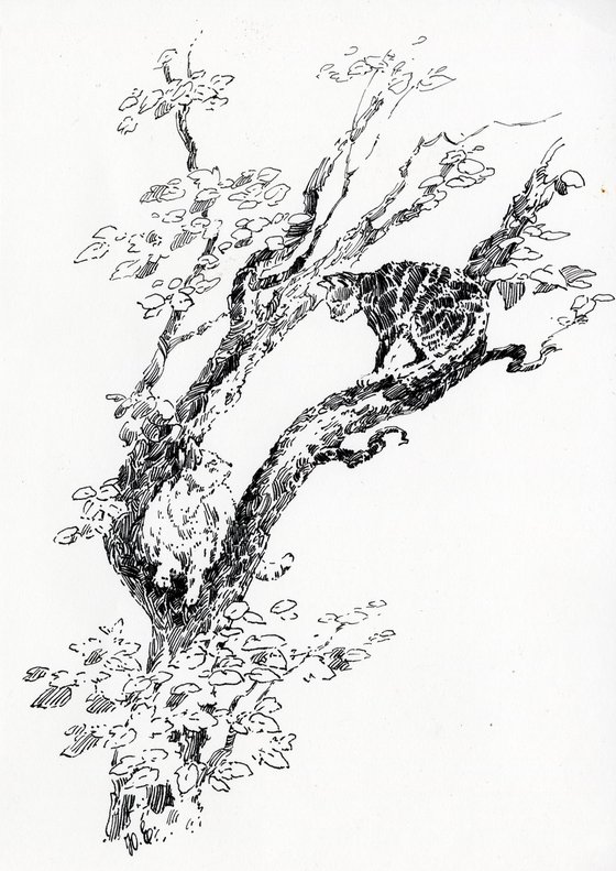 Cats in a tree