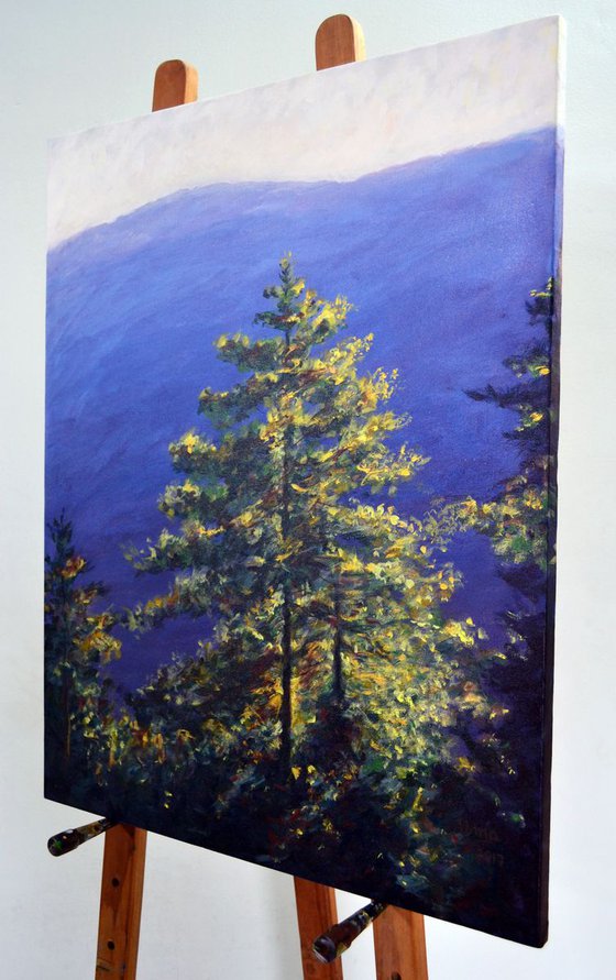 Bhutan series - Pine trees and blue mountains