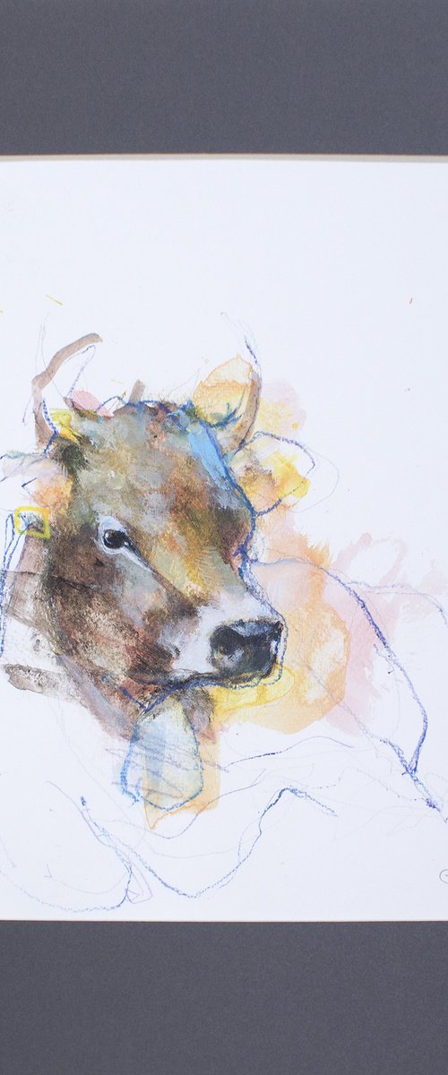 Belle à corne - Cow by Laurent Bergues