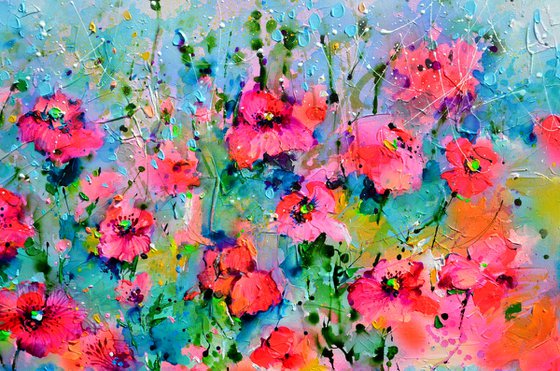 Wild Red Poppy, Poppies Field