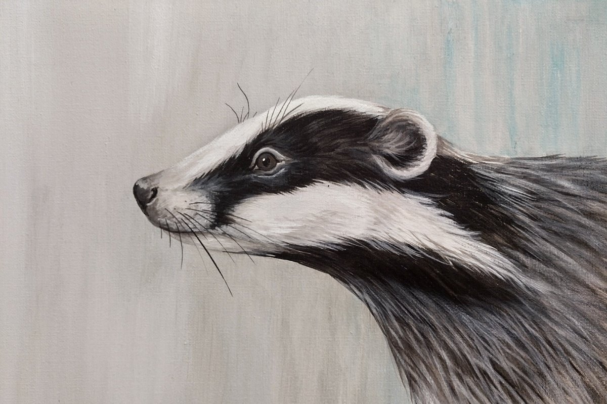 Badger by Sara Westaway