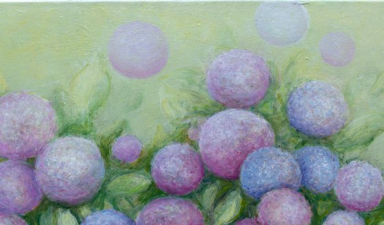 The Hydrangea Galaxy