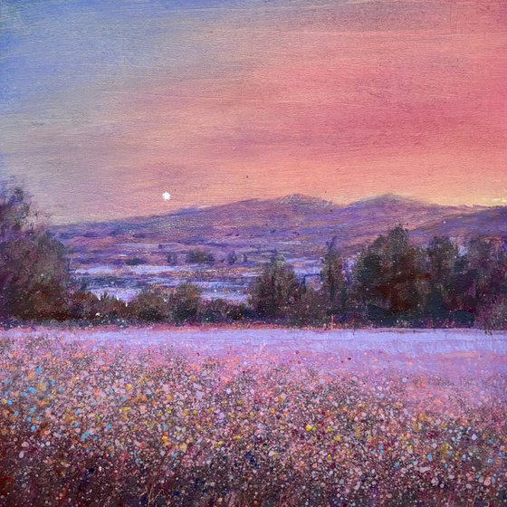 Under A Waking Sky
