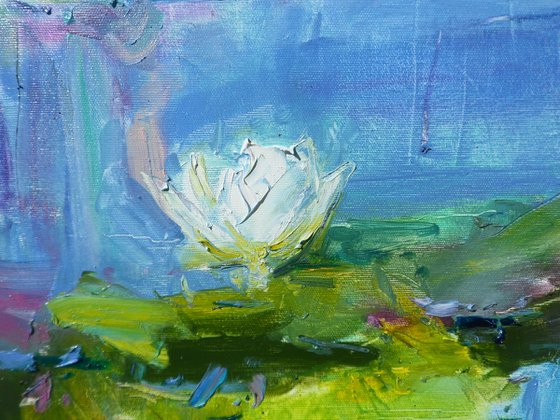 Water Lilies 80x70cm 2022