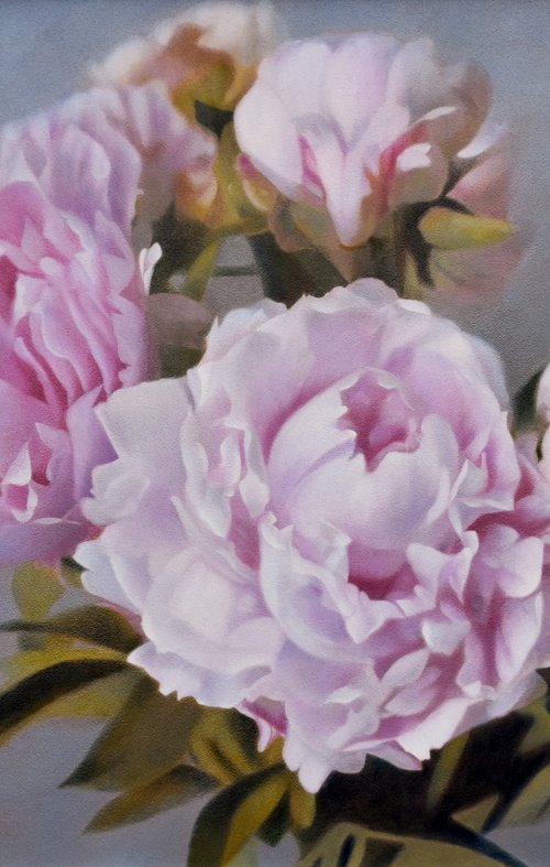 Peonies in Bloom. by Vera Higgins