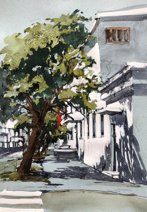 Streets of Montenegro #6