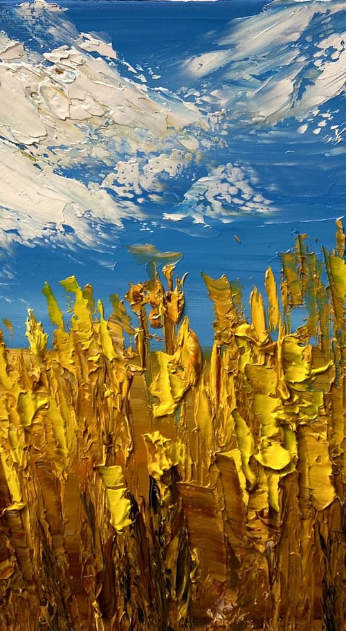 Spikelets on the meadow by Oksana Fedorova