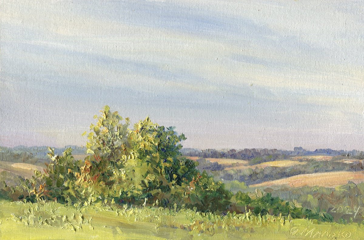 Impressionistic Landscape Oil Painting By Olha Malko, 12 X 8", Distance, Original Artwork