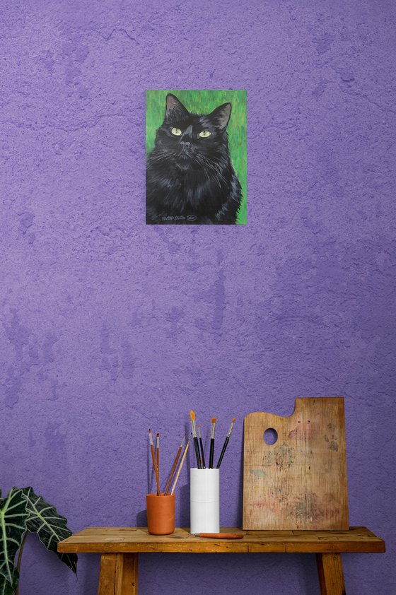 Charismatic Cat