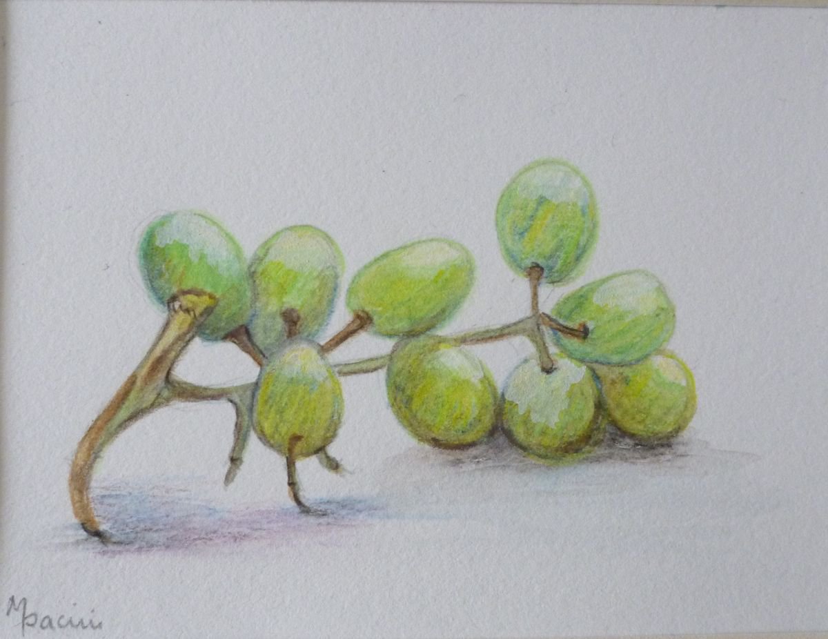 Grapes by Maddalena Pacini