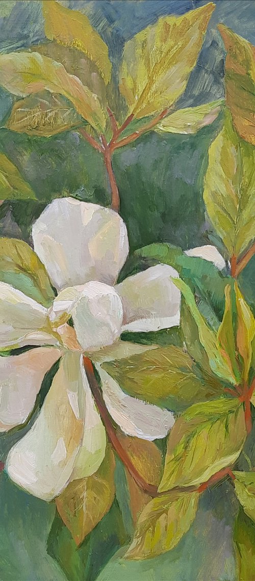 "Magnolia" - Original oil painting (2021) by Svetlana Norel