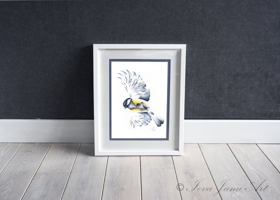 Blue Tit