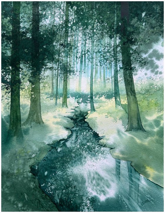 Summer Forest Landscape
