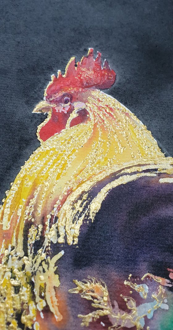 Rooster at yellow field