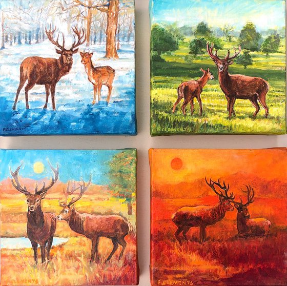 Richmond Park four seasons