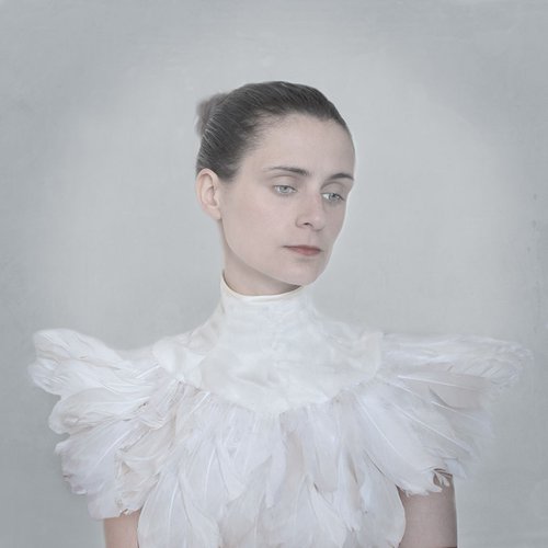 A Winter Bird by Amélie Berton
