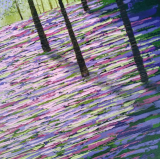 Evergreen Glade
