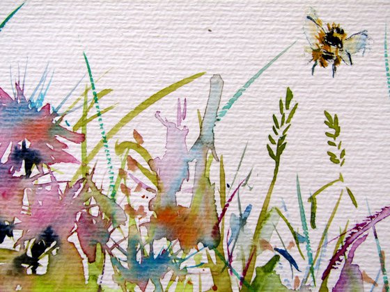 Wildflowers collection