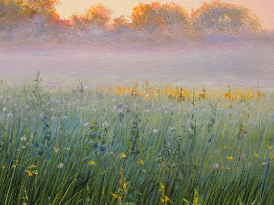 Fog Over the Meadow