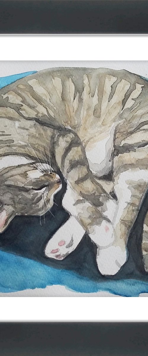 The frequently supine feline -framed and ready to hang by Carolynne Coulson