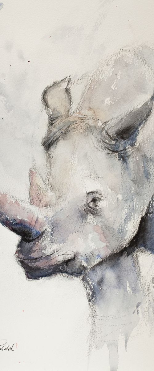 Save The Rhino by Tomasz Mikutel