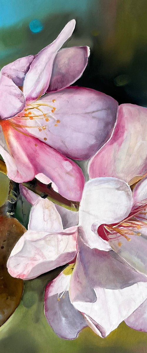 Almond blossom 30x30 cm by Myroslava Denysyuk