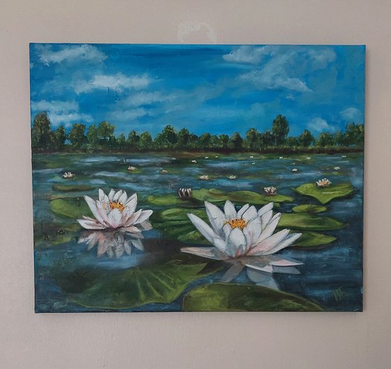 Lily Pond