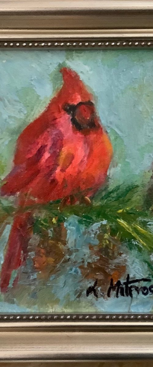 Cardinal by Lia Matevosyan Haselton