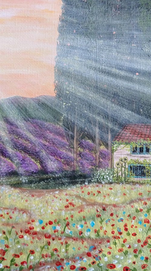 Poppy house. By Zoe Adams. by Zoe Adams