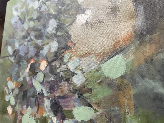 Hydrangea in vase