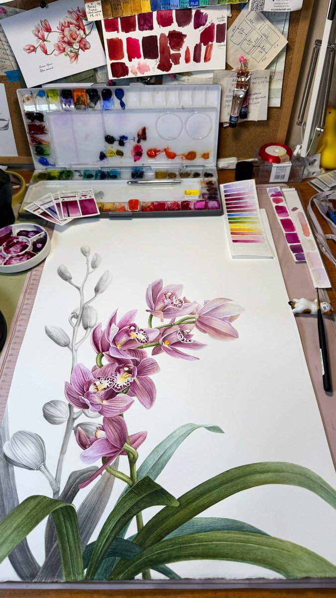 Photorealistic Painting , Cymbidium Orchid By Yuliia Prokopchuk, 15 X 22, Artwork For Sale On Artfinder
