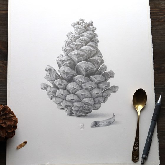 Pine Cone Silverpoint