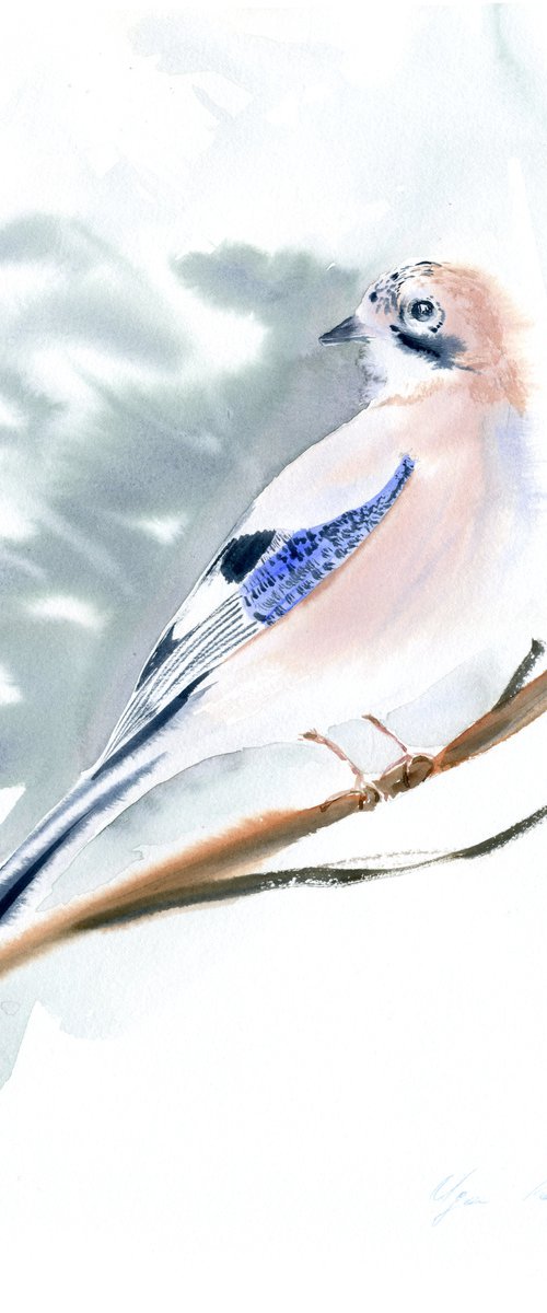Jay Bird by Olga Koelsch