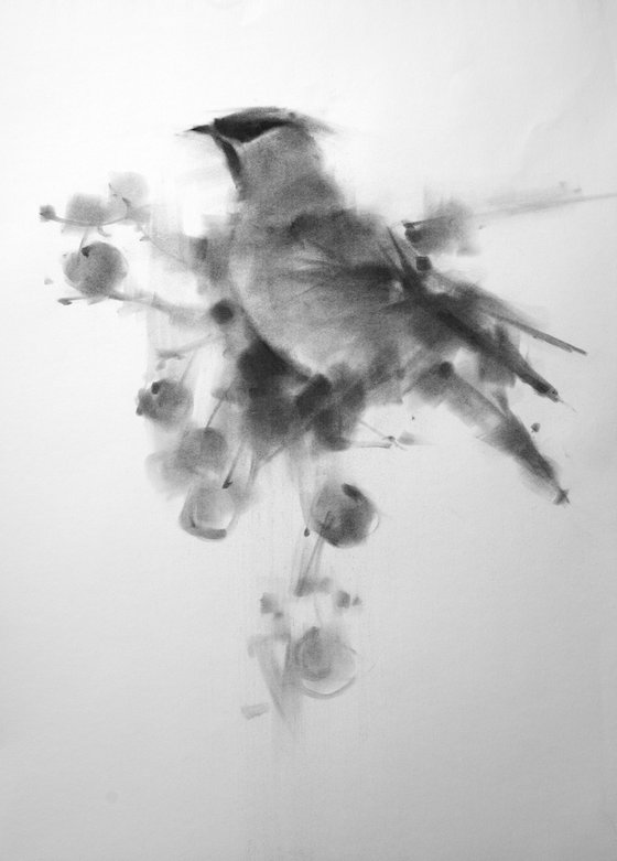 Waxwing I