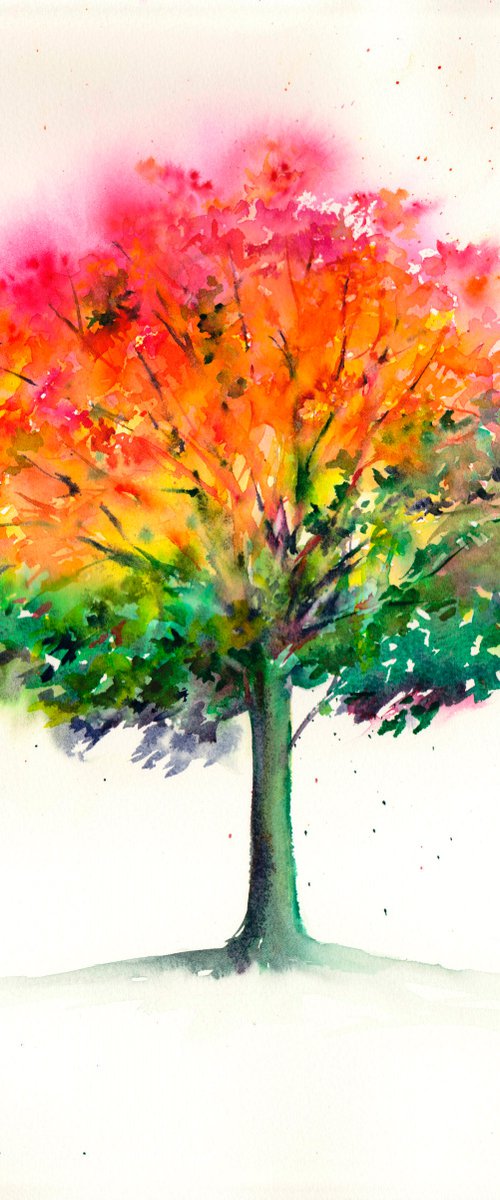 Tree - Original Watercolour Painting by Anjana Cawdell