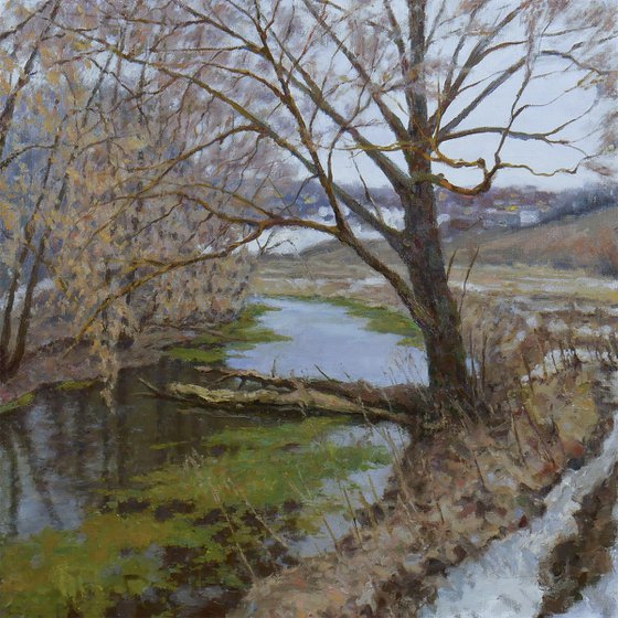 The Old Willow