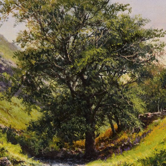 Embraced by Green Hills