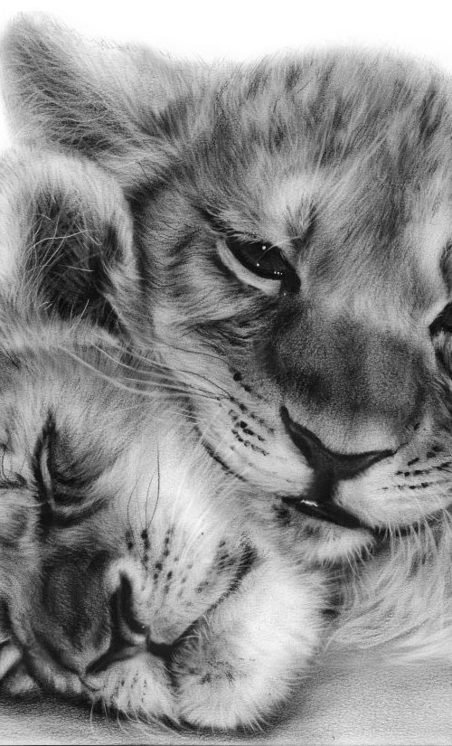 Commissioned Artwork Lion Cubs by Danguole Serstinskaja
