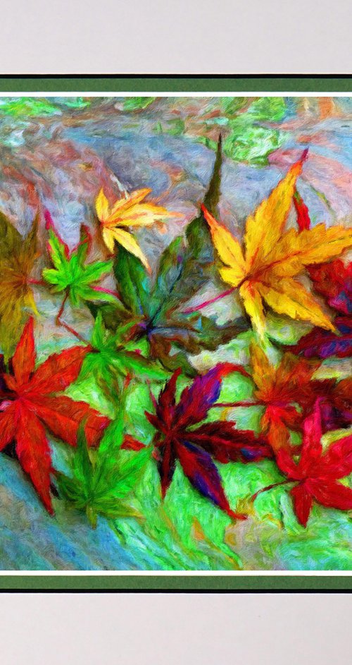 Maple Magic by Robin Clarke