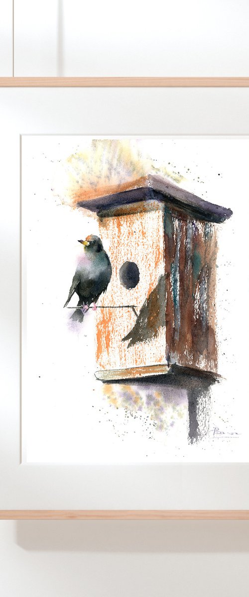 Starling in birdhouse by Olga Tchefranov (Shefranov)