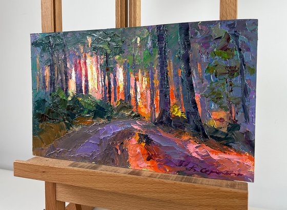 Summer Morning at Sunrise