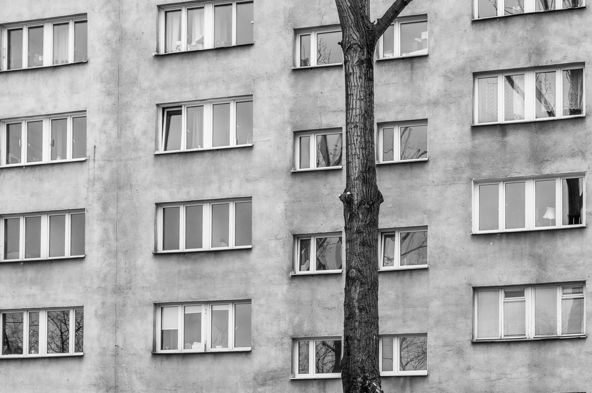 Shortage (from Trees set) by Adam Mazek