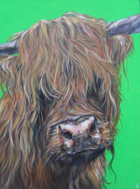 'McMoo' Highland cow painting
