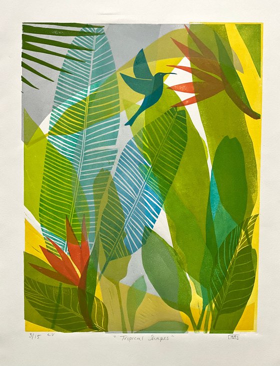 Tropical Shapes