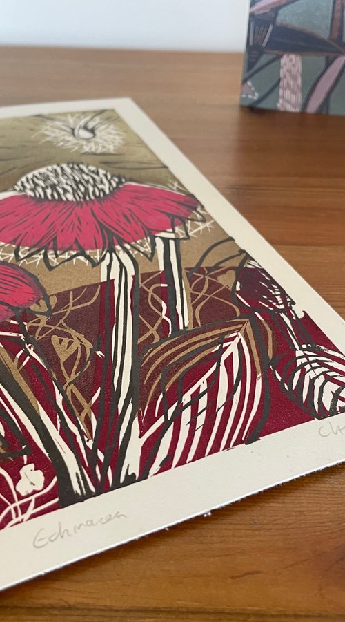Echinacea by C Staunton