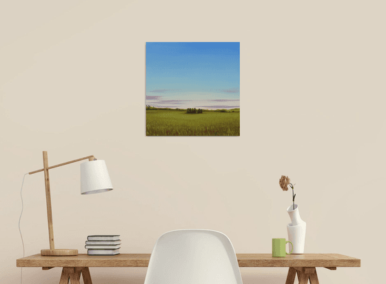 Green Meadow - Blue Sky Landscape